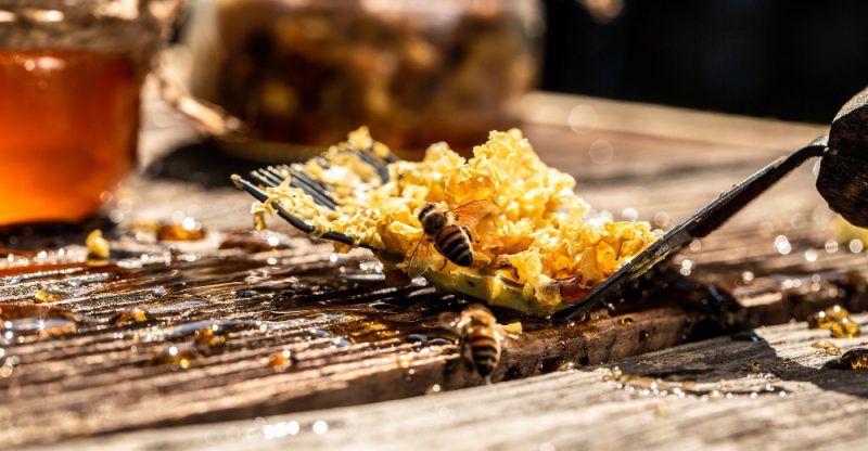 Proprietățile curative ale mierii naturale