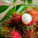 Rambutan: Fructul-minune împotriva cancerului și diabetului