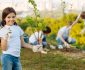 Inițiativa educațională inedită: Elevii care plantează copaci