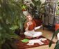 Cum să-ți creezi un spațiu de meditație acasă