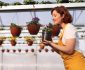Cum să îți crești propria grădină de legume în containere