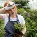 Cum să îți protejezi plantele de grădină de vânturile puternice