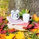 Toamna ca sezon de reconectare: Ritualuri pentru seri mai lente Toamna ca sezon de reconectare: Ritualuri pentru seri mai lente